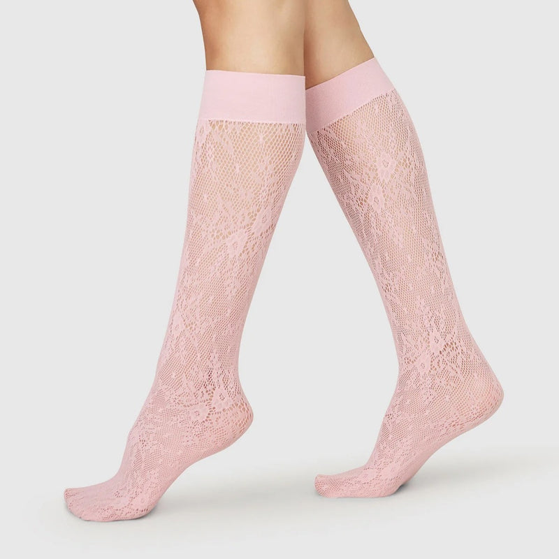 Rosa Lace Knee High - Dusty Pink