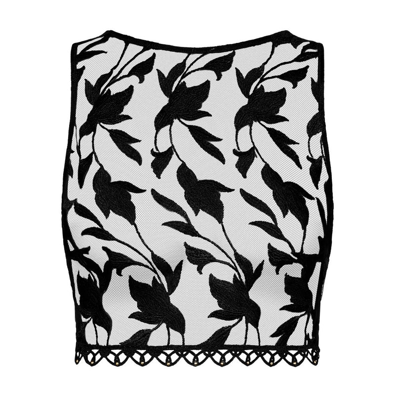 Night at Paradise Top - Obsidian