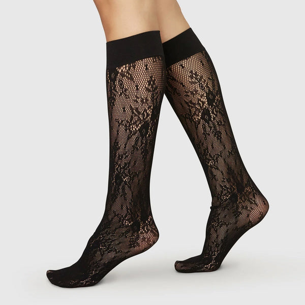 Rosa Lace Knee High - Black