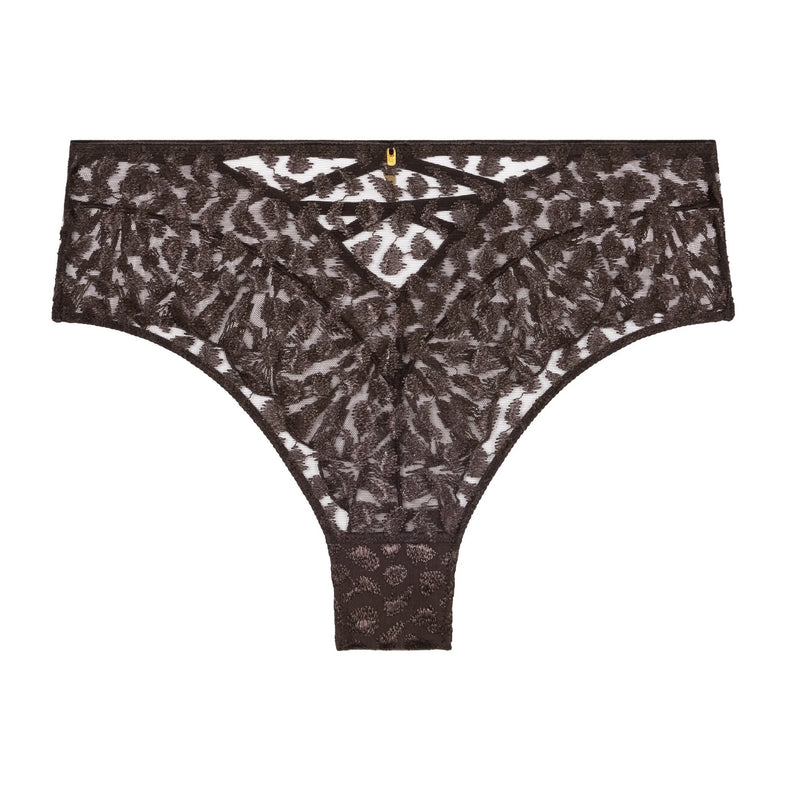 Crazy in Love High Waist Brief - Satin Brown