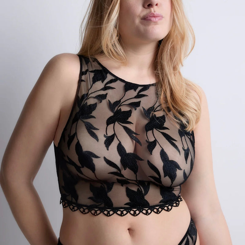 Night at Paradise Top - Obsidian