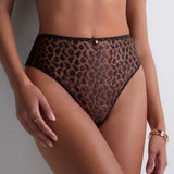 Crazy in Love High Waist Brief - Satin Brown