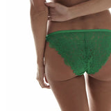 Wild Rose Brief - Green